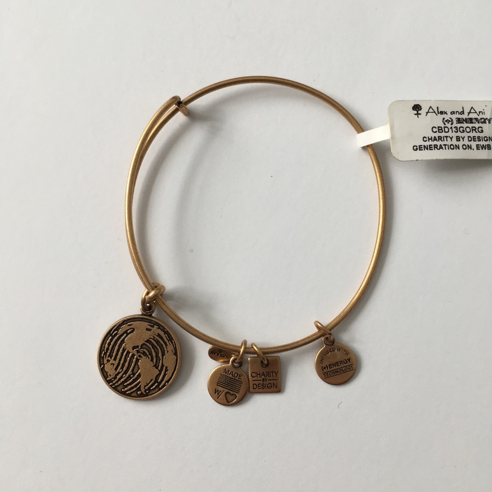 Alex and Ani Make Your Mark Earth charm bracelet